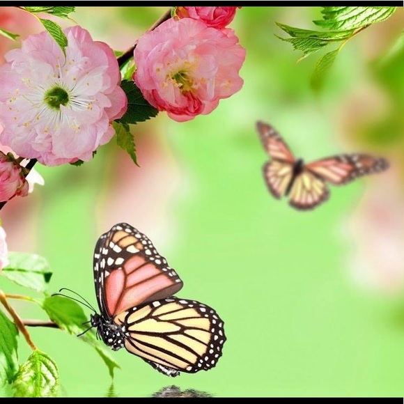 SAVE THE USA ~ SAVE FREEDOM OF RELIGION - Picture 6 of 6